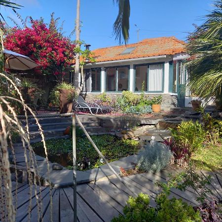 Casas Serenas Estreito Da Calheta Kültér fotó