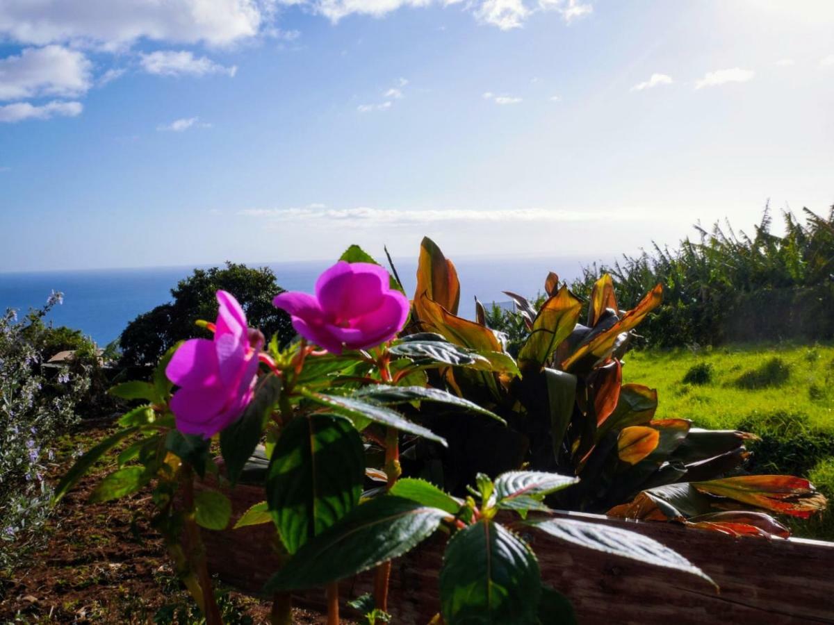 Casas Serenas Estreito Da Calheta Kültér fotó